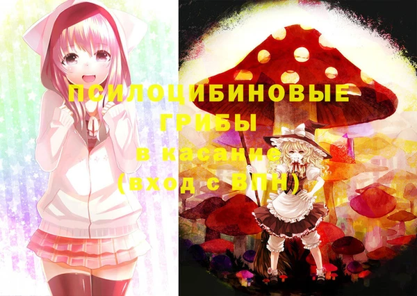 apvp Козловка