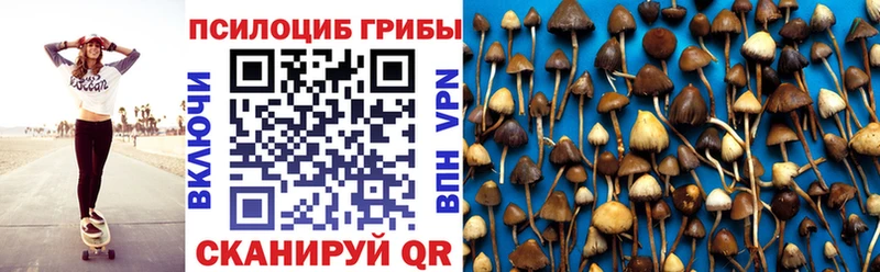 Псилоцибиновые грибы GOLDEN TEACHER  Купить закладки  Кудрово 