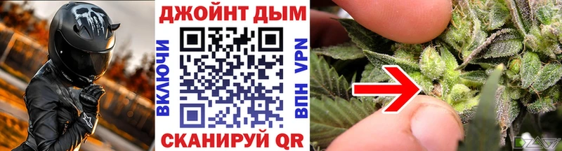 Купить закладки  Кудрово  Бошки марихуана индика 